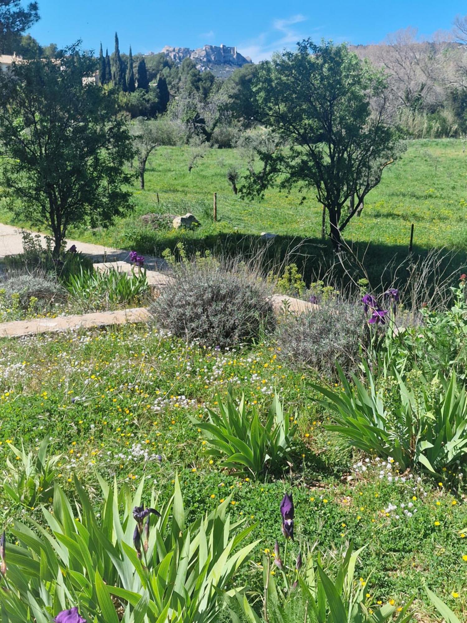 Domaine Du Mas Foucray Aparthotel Les Baux-de-Provence Kültér fotó